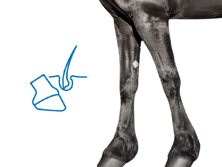 HOEV Einsatzbereich Header 900x675px (1000 x 750 px)